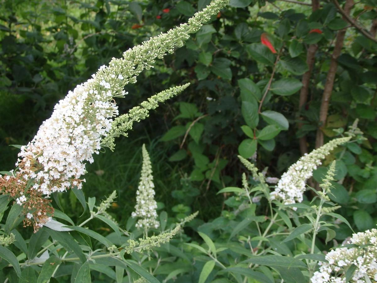 Krakowskie Mazury Gradzkie  外观 照片