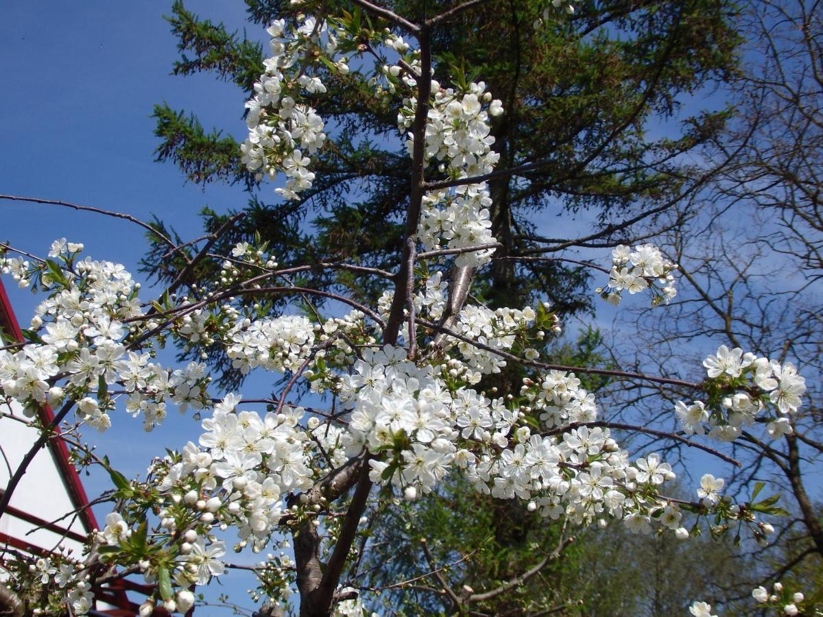Krakowskie Mazury Gradzkie  外观 照片