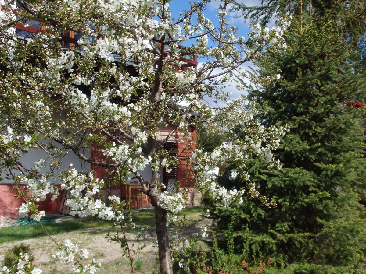 Krakowskie Mazury Gradzkie  外观 照片